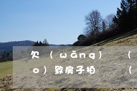 欠網(wǎng)貸會(huì)導(dǎo)致房子拍賣嗎(網(wǎng)貸還不起了會(huì)拍賣按揭房嗎)