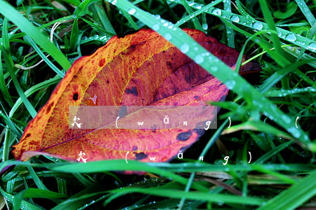 欠網(wǎng)貸會(huì)影響花錢(欠網(wǎng)貸會(huì)影響花錢)