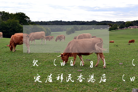 欠網(wǎng)貸會(huì)影響香港定居(移民香港后,網(wǎng)貸沒還)