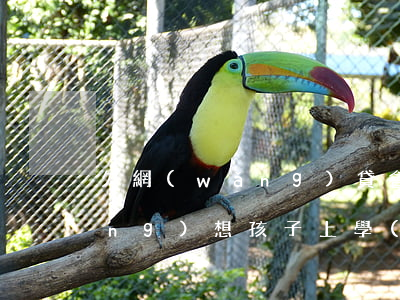 欠網(wǎng)貸會(huì)應(yīng)想孩子上學(xué)嗎