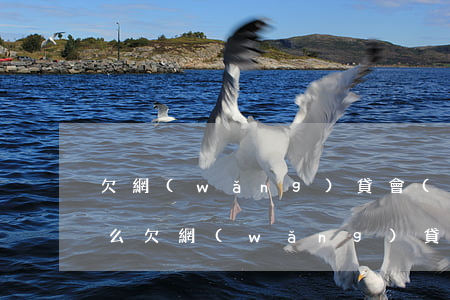 欠網(wǎng)貸會(huì)有律師找么(欠網(wǎng)貸可以找律師嘛)