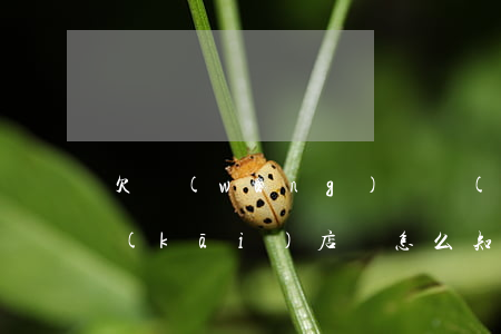 欠網(wǎng)貸會(huì)查到你開(kāi)店嗎(怎么知道自己有沒(méi)有欠網(wǎng)貸)
