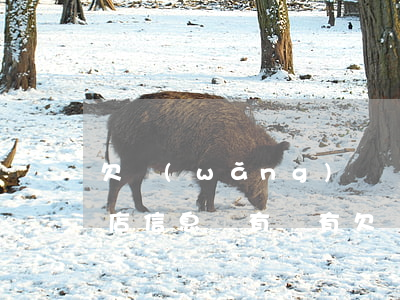 欠網(wǎng)貸會(huì)查到你開店信息嗎(有沒有欠網(wǎng)貸怎么查)