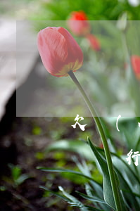 欠網(wǎng)貸會(huì)查到另一張銀行劃扣(欠網(wǎng)貸會(huì)查到另一張銀行卡嗎)