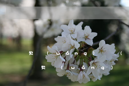 欠網(wǎng)貸會(huì)查封公司嗎(欠網(wǎng)貸被公司開(kāi)除合理嗎)
