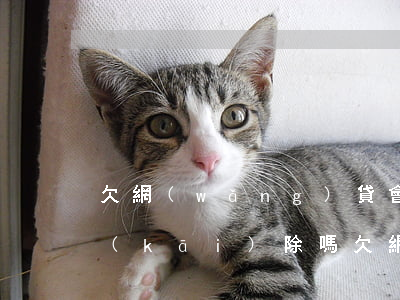 欠網(wǎng)貸會(huì)被公司開(kāi)除嗎(欠網(wǎng)貸會(huì)被公司開(kāi)除不)