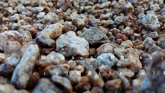 欠網(wǎng)貸會(huì)被凍結(jié)資產(chǎn)嗎(欠網(wǎng)貸會(huì)被司法凍結(jié)嗎)