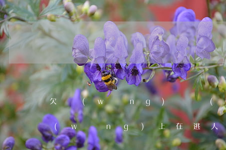 欠網(wǎng)貸會(huì)被列為網(wǎng)上在逃人員嗎-欠網(wǎng)貸會(huì)被列為網(wǎng)上在逃人員嗎知乎