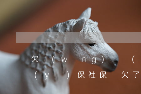 欠網(wǎng)貸會(huì)被取消醫(yī)保社保嗎(欠了好多網(wǎng)貸要不要買社保)