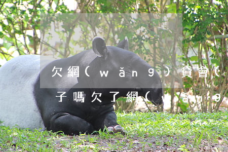 欠網(wǎng)貸會(huì)被抵押房子嗎(欠了網(wǎng)貸按揭房子抵押查封了)