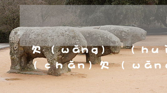 欠網(wǎng)貸會(huì)被拍房產(chǎn)(欠網(wǎng)貸會(huì)查封房產(chǎn)嗎)