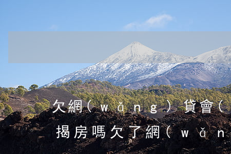 欠網(wǎng)貸會(huì)被拍賣按揭房嗎(欠了網(wǎng)貸無力償還怎么辦法院會(huì)拍賣房子嗎)