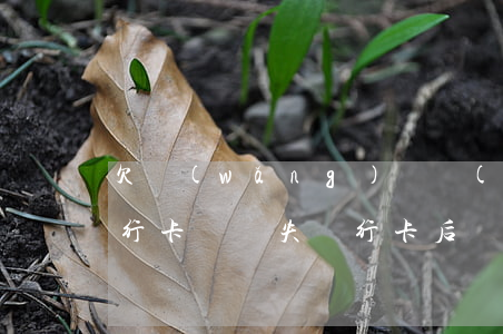 欠網(wǎng)貸會(huì)被掛失銀行卡嗎(掛失銀行卡后網(wǎng)銀也掛失了嗎?)