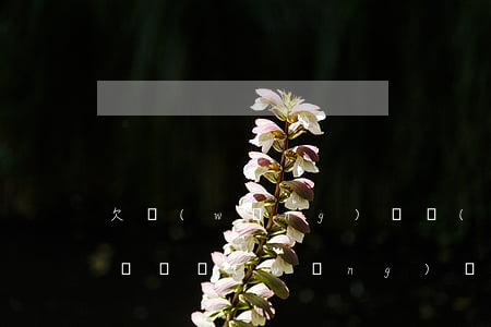 欠網(wǎng)貸會(huì)被異地起訴嗎(網(wǎng)貸在異地起訴我是真的嗎)