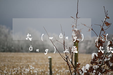 欠網(wǎng)貸會(huì)被網(wǎng)上通緝嗎(欠款會(huì)被網(wǎng)上通緝嗎)
