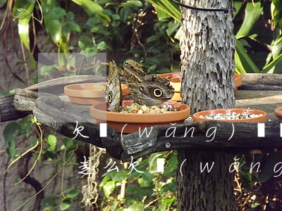 欠網(wǎng)貸會(huì)被警察抓走么(欠網(wǎng)貸會(huì)被警察抓走么)