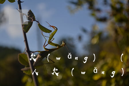 欠網(wǎng)貸會(huì)連累家里人嗎(欠網(wǎng)貸會(huì)不會(huì)連累家人)