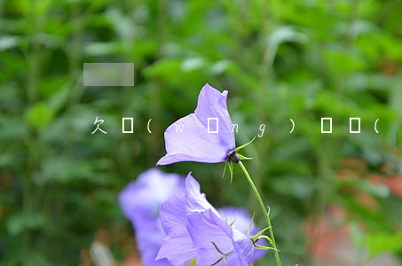 欠網(wǎng)貸會(huì)黑征信嗎