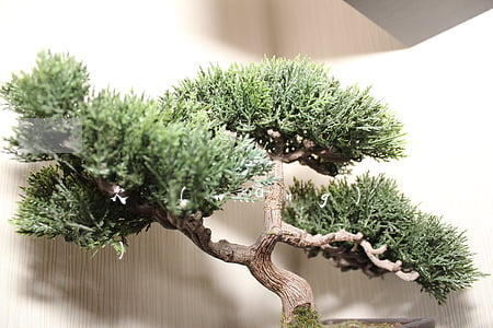 欠網(wǎng)貸會上公安網(wǎng)嗎