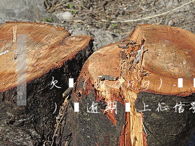 欠網(wǎng)貸會上征信(網(wǎng)貸逾期會上征信嘛)
