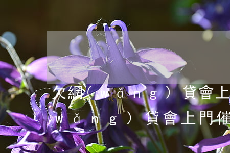 欠網(wǎng)貸會上門催收嗎6(欠網(wǎng)貸會上門催收嗎)