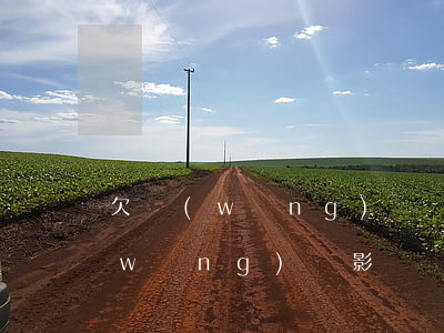欠網(wǎng)貸會不會影響出行（欠網(wǎng)貸影響辦出院嗎）