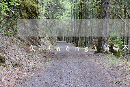 欠網(wǎng)貸會不會影響孩子上戶口