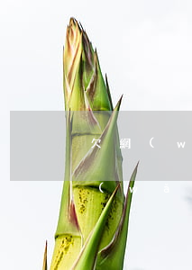 欠網(wǎng)貸會不會拍賣房子(欠了網(wǎng)貸無力償還怎么辦法院會拍賣房子嗎)
