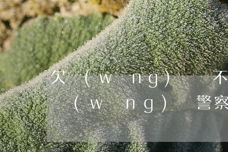 欠網(wǎng)貸會不會有警察來找(我欠網(wǎng)貸警察會不會抓我)