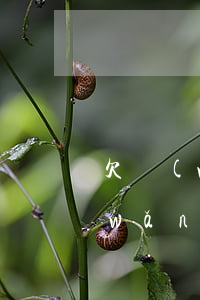 欠網(wǎng)貸會不會被銀行拉黑(網(wǎng)貸逾期久了會不會成了銀行黑名單)