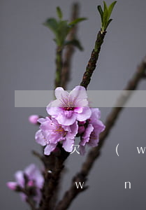 欠網(wǎng)貸會影響兄弟姐妹嗎(網(wǎng)貸不還會影響兄弟姐妹嗎)