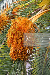 欠網(wǎng)貸會影響家人考公務(wù)員嗎(欠網(wǎng)貸能報(bào)考公務(wù)員嗎)