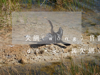 欠網(wǎng)貸會影響征兵政審嗎(當(dāng)兵欠網(wǎng)貸政審能過嗎)