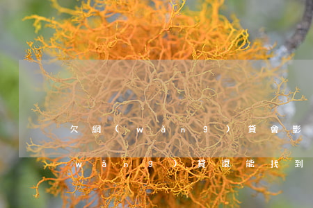 欠網(wǎng)貸會影響找工作嗎(欠網(wǎng)貸還能找到工作嗎)