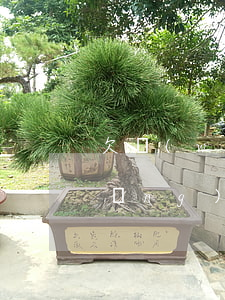 欠網(wǎng)貸會影響生活嗎(欠網(wǎng)貸不還有什么影響)