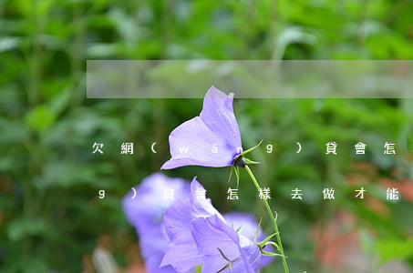 欠網(wǎng)貸會怎樣-欠網(wǎng)貸會怎樣去做才能上岸