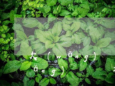 欠網(wǎng)貸會找到家里人嗎(網(wǎng)貸沒還會不會找到家里)