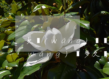 欠網(wǎng)貸會爆通訊錄多久(欠網(wǎng)貸多久會被爆通訊錄)
