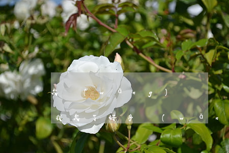 欠網(wǎng)貸會牽扯老婆嗎(老婆瞞著我欠了好多網(wǎng)貸犯法嗎)
