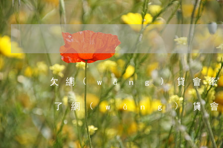 欠網(wǎng)貸會牽連老婆(如果老公欠了網(wǎng)貸會不會連累老婆)
