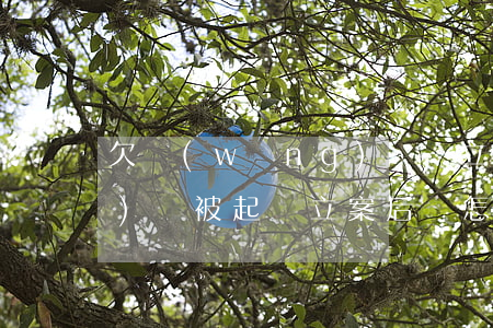 欠網(wǎng)貸會立案(欠網(wǎng)貸被起訴立案后會怎樣)