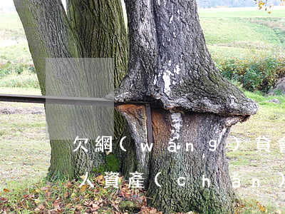 欠網(wǎng)貸會被凍結(jié)個人資產(chǎn)么(網(wǎng)貸逾期會被凍結(jié)個人資產(chǎn)嗎?)