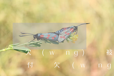 欠網(wǎng)貸會被凍結(jié)支付寶嗎(欠網(wǎng)貸支付寶被司法凍結(jié)了怎么辦)