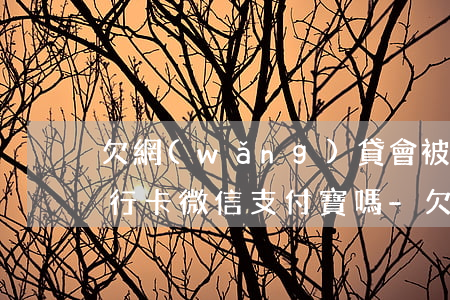 欠網(wǎng)貸會被凍結(jié)銀行卡微信支付寶嗎?-欠網(wǎng)貸會被凍結(jié)銀行卡微信支付寶嗎安全嗎