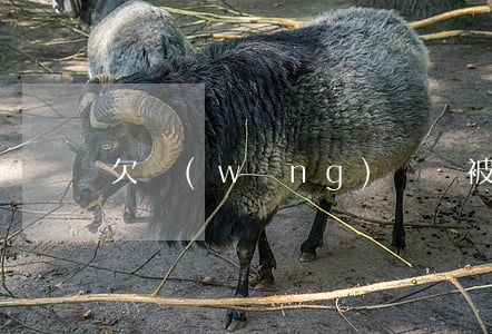 欠網(wǎng)貸會被列為逃犯嗎