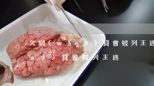 欠網(wǎng)貸會被列王逃(欠網(wǎng)貸會被列王逃)