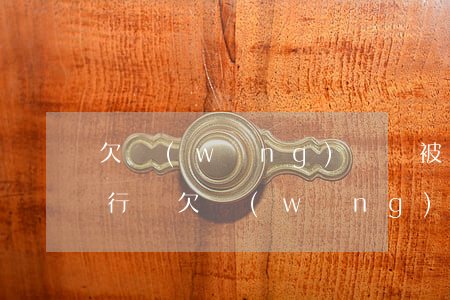 欠網(wǎng)貸會被強制執(zhí)行嗎(欠網(wǎng)貸被起訴多久強制執(zhí)行)