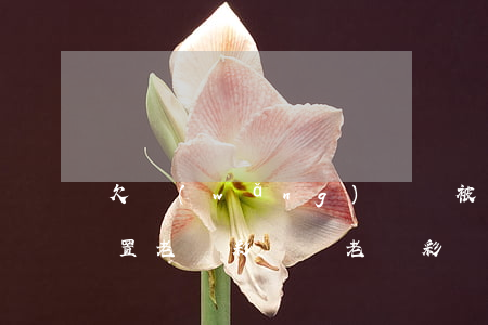 欠網(wǎng)貸會被強制設(shè)置老賴彩鈴嗎(老賴彩鈴怎么取消了)
