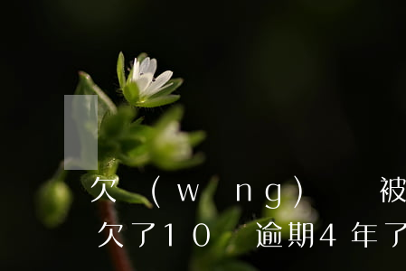 欠網(wǎng)貸會被抓去坐牢嗎-借唄欠了10萬逾期4年了
