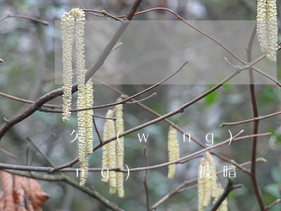 欠網(wǎng)貸會被暗殺嗎(欠網(wǎng)貸會被暗殺嗎)